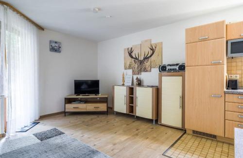 Titisee-Neustadt Apartamento | Waldklang Titisee (W7) + Hochschwarzwald Card