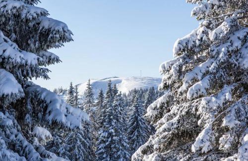 Titisee-Neustadt Apartamento | Waldklang Titisee (W7) + Hochschwarzwald Card