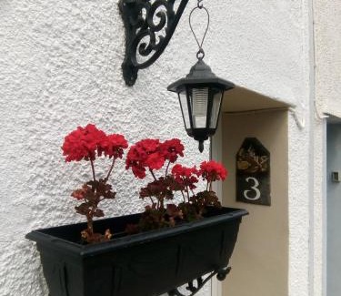Tredegar Casa | Wales' Highest Village - The Chartist Cottage - Trefil