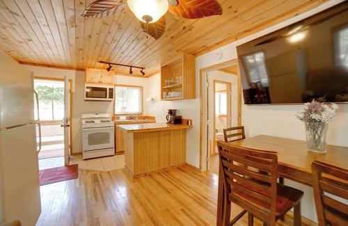 Lake County Cabaña | Walk to Golf Course: Cobb Mountain Nature Escape
