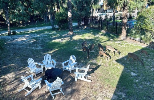 Edisto Island Casa | Walk to the Beach! Firepit, games, pets welcome, bring your boat!!