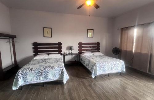 Esteli Casa | Wally’s Place