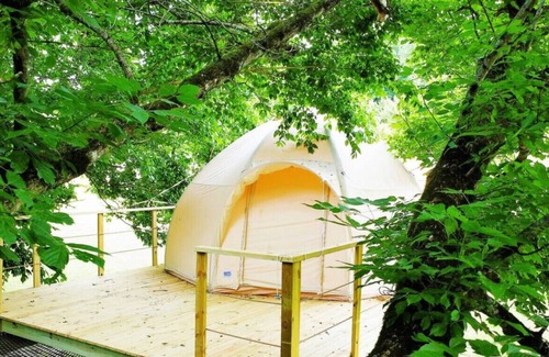 Newport Casa | Walnut TreeHouse - Dome Tent Over the Creek
