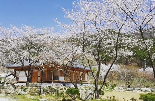 Wanju Casa | Wanju Hoyeonje