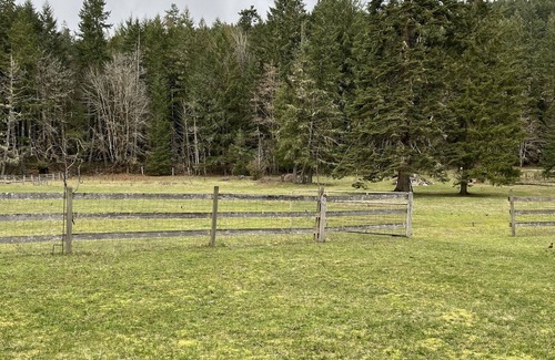 Duncan Casa | Warm, inviting updated 2 bdrm house in the forest-only minutes to town centre.