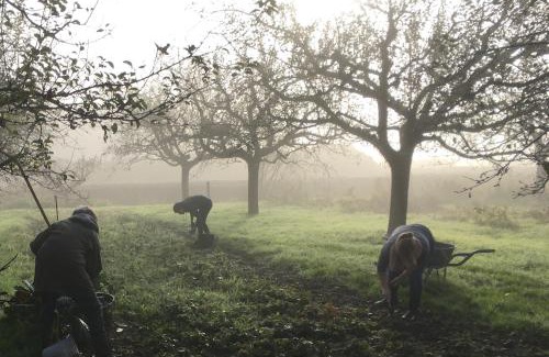 Lent Casa | Warmoes tuinderswoning