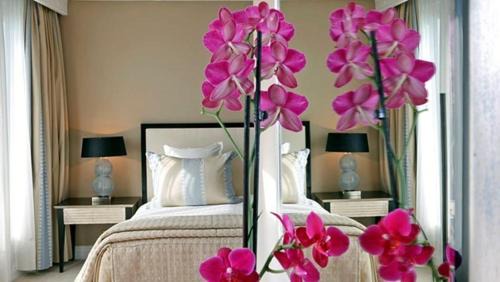 Faubourg-du-Roule Hotel | Warwick Champs-Elysées Paris