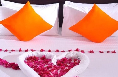 Dambulla Hotel | Wasu Villa Hotel Dambulla
