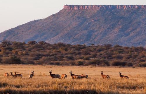 Okosongomingo Casa | Waterberg Guest Farm