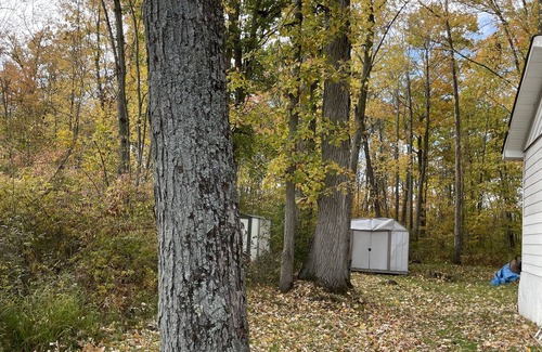 Hastings Cabaña | Waterfront cottage, located in the Trent Severn Waterway, 90 min from Toronto