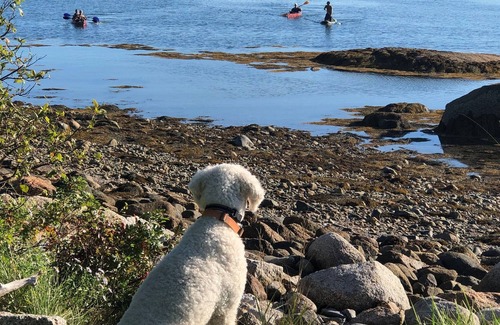 Brooklin Cabina | Waterfront Cottage, Naskeag Point in Brooklin, ME
