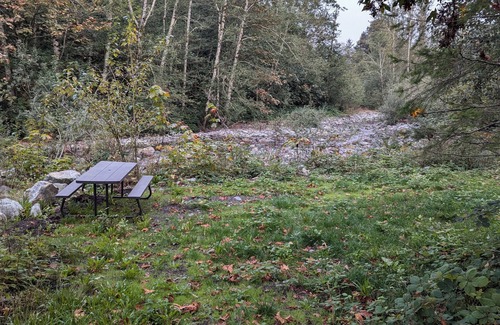 Gold Bar Cabina | Waterfront guest house with WiFi, AC, Hot tub, Sauna. Pet friendly.