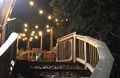 Lansdowne Cabaña | Waterfront Luxury Cottage for 8 with Private Hot Tub & Free Dockage