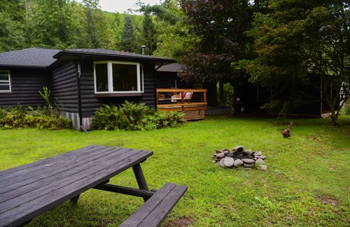 Shandaken Cabaña | Waterfront Modern Cabin - BLAK House