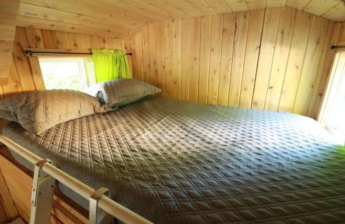 Pomquet Casa | Waterfront Tiny House near Pomquet Beach- Winterized