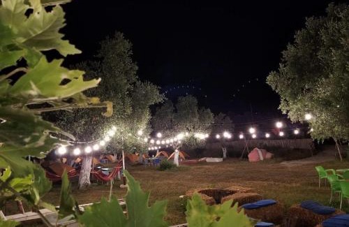 Qazim Pali Otro | Waveside Camping