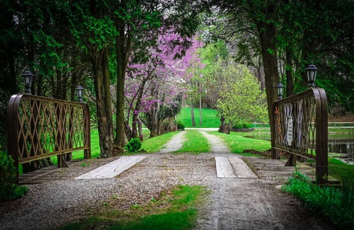 Ava Casa | We are a quiet ranch home that sits on 8 acres with firepit, pond and bar.