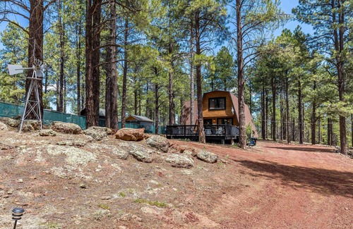 Williams Cabina | We have A/C Book Summer Now! The Cajun Cottage