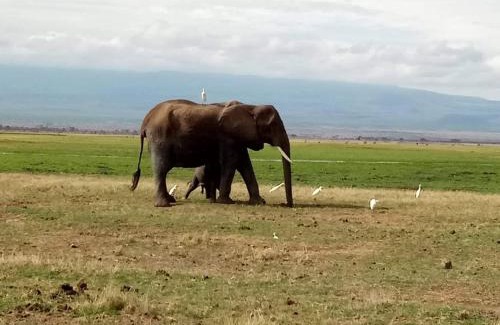 Amboseli Cabina | WE4Kenya Guesthouses