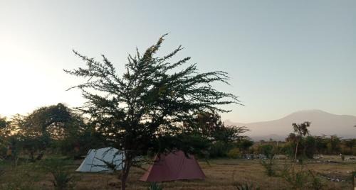 Amboseli Cabina | WE4Kenya Guesthouses