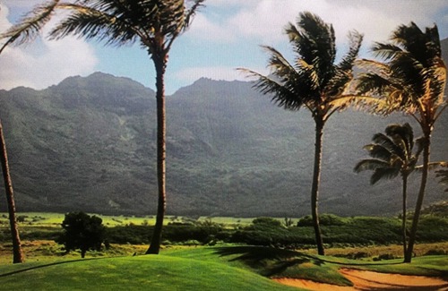 Bayview Apartamento | Weekly Rental at The Point at Poipu Resort