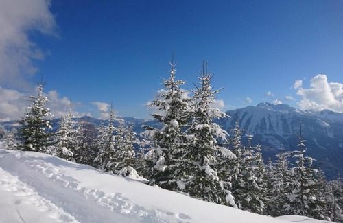 Sankt Veit im Pongau Apartamento | Weidinghof