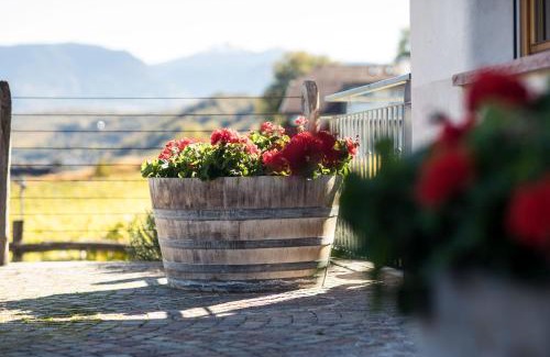 Unterrain/Riva di Sotto Casa | Weingut Donà