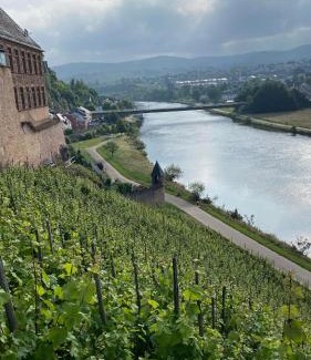 Saarburg Casa | Weingut Dr Wagner