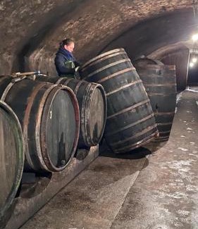 Saarburg Casa | Weingut Dr Wagner