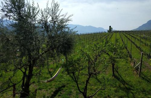 Pianizza Di Sopra Apartamento | Weingut Hochleiten