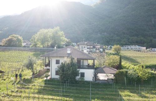 Pianizza Di Sopra Apartamento | Weingut Hochleiten