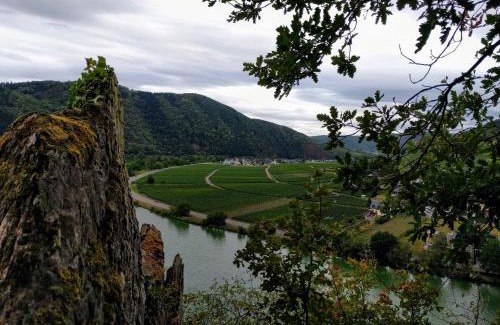 Poltersdorf Cama Y Desayuno | Weingut Pension Hammes-Krüger