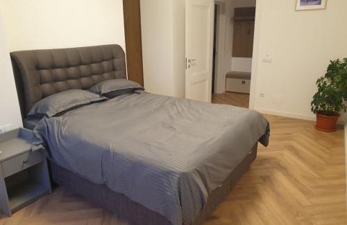Baia Mare Apartamento | Welcome! Central park!