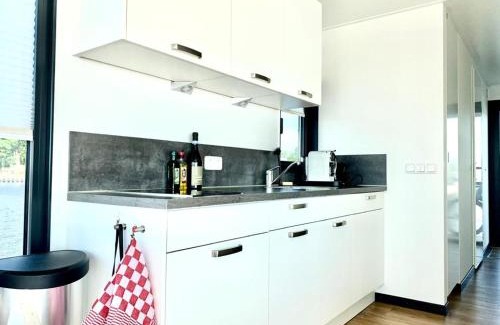 Offingawier Apartamento | Welcome in - Houseboat Earrebarre aan het Sneekermeer met dakterras, prachtig uitzicht