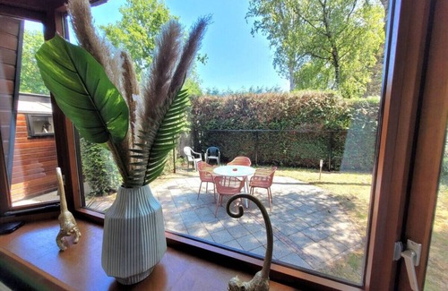 Krachtighuizen Cabina | Welcome in the Jungle Oasis