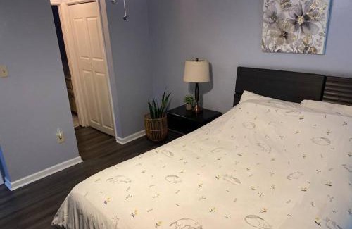 Midtown Apartamento | Welcome International Guests-Medical Residents-free shuttle downtown-full kitchen- free parking