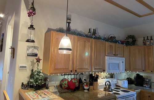 Buena Vista Casa | Welcome to the forest! Peace and quiet are at your doorway.