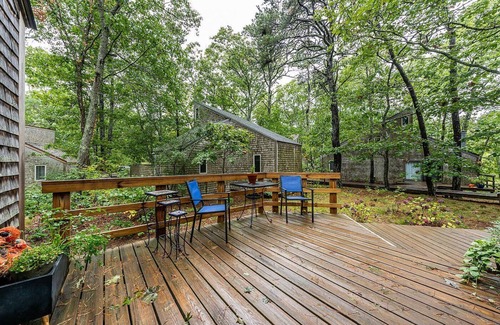 Wellfleet Cabaña | Welcome to Wellfleet! Classically Modern, Woodsy and Serene.