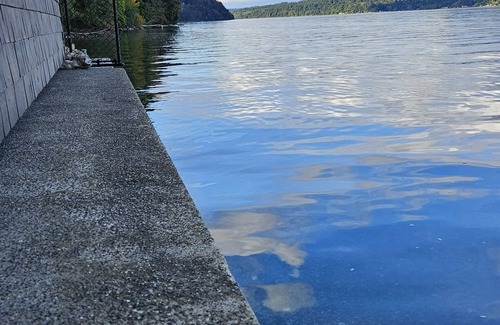 Gig Harbor Cabina | Welcome to your perfect weekend getaway right on the water!