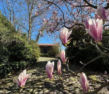 Flobecq Casa | Welkom in Vloesberg n°54