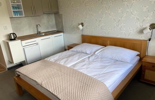 Tatranska Strba Apartamento | Wellness Apartmán Monika - Tatranská Štrba