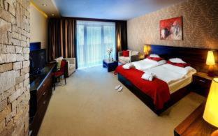 Demanovska Dolina Hotel | Wellness Hotel Chopok