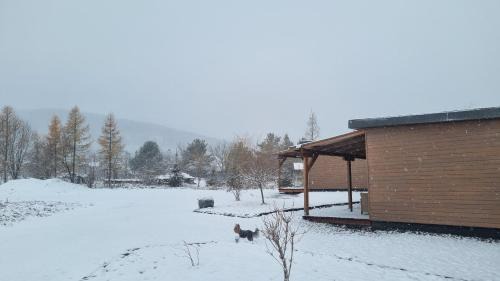 Miercurea-Ciuc Apartamento | Wellness Resort Szécseny