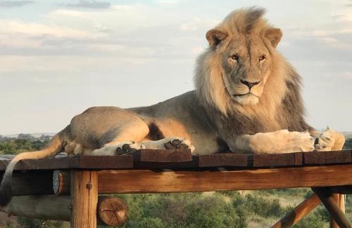Theunissen Cabina | Weltevreden Game Lodge