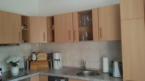 Meuselwitz Apartamento | Wendler`s Haus