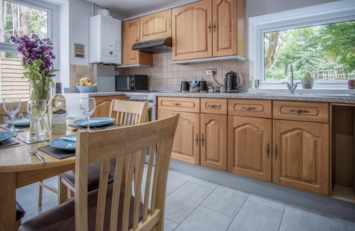 Birchgrove Cabaña | Wern Y Glais - 2 Bedroom Cottage - Glais
