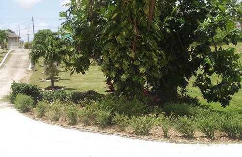 Westmoreland Apartamento | West Coast Apartment Hotel is located in Westmoreland, St.James, Barbados