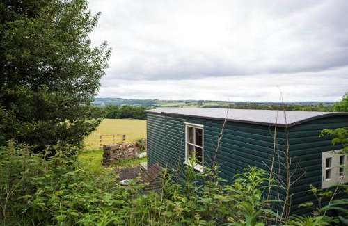 Crawcrook Otro | West Wood Yurts Ltd