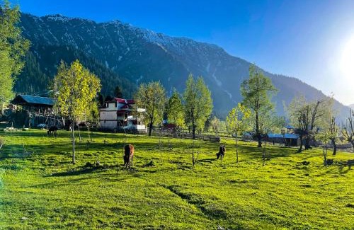 Dalhousie Hotel | Western Nest International