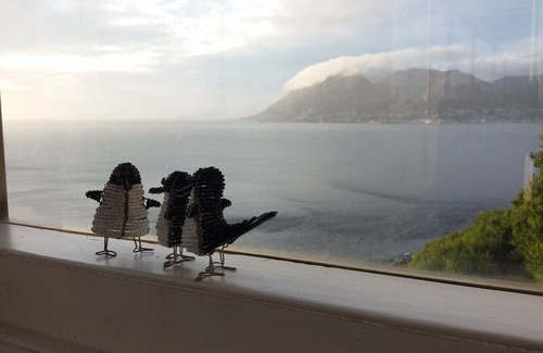 Fish Hoek Cabaña | Whale Cove Cottage - Mira el océano desde tu cama